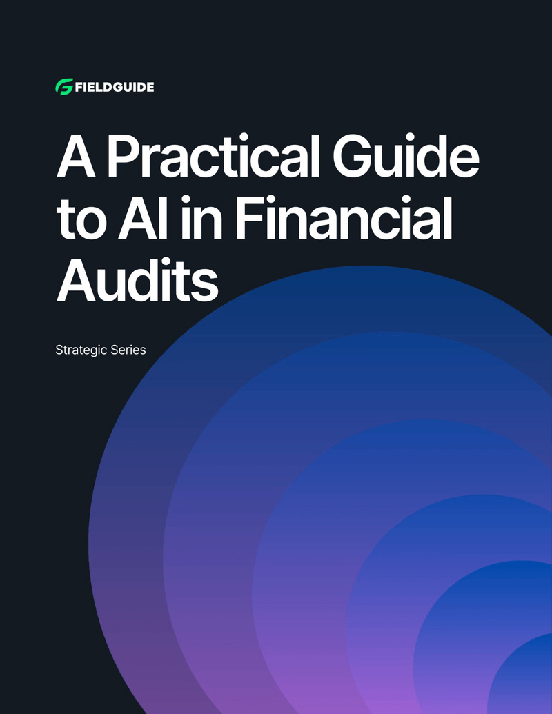 AI and Financial Audits