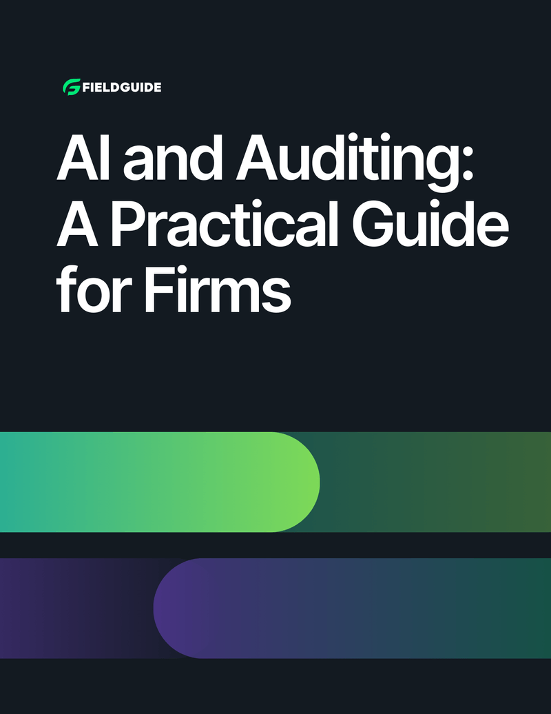 Auditing AI Cover